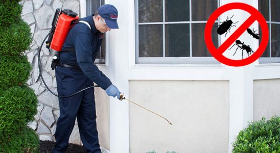 Eruh Hamam Böceği İlaçlama böcek ilaçlama ve haşere kontrolü — ilaclama-tr.com